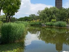 -西海子公园