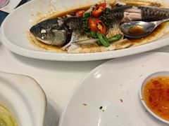 -东方御宴海鲜酒楼(棕泉酒店)
