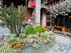 -寂照庵