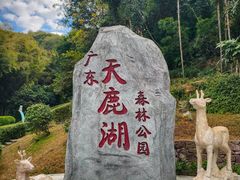-天鹿湖森林公园