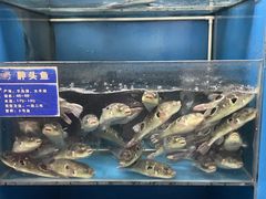 -永安鱼庄·镇江菜(丁卯店)