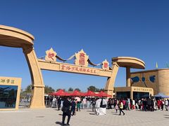 -金塔沙漠胡杨林景区