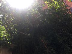 -南京西路(地铁站)