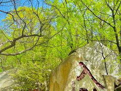 -天津盘山风景名胜区