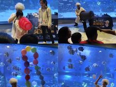 -顺德南宏海立方海洋公园