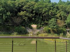 -新安江山水画廊风景区