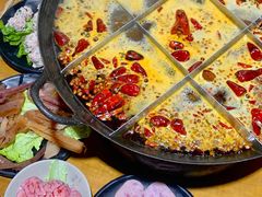 -白乐天毛肚火锅馆(南滨路店)