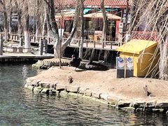 -水磨沟公园