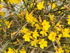 -微软亚太研发集团大厦(微软总部)