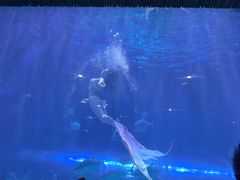 -华夏文旅海洋公园