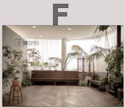 -大树儿童摄影