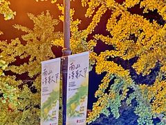 -LAMP BAR 水烟音乐酒吧
