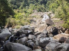 -海南热带雨林国家公园吊罗山景区