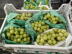 -西郊国际农产品交易中心