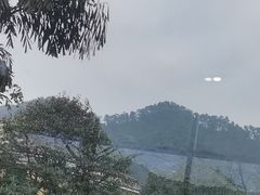 -重庆南山海昌汤都