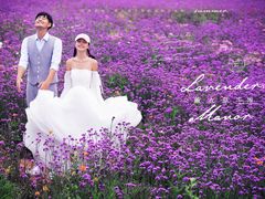 -罗曼罗兰(璧山店)