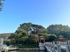 -顺峰山公园