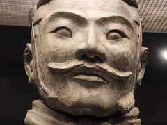 -秦始皇帝陵博物院(兵马俑)
