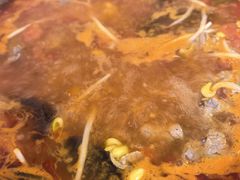 -毛辣果·贵州红酸汤牛肉火锅(西单店)