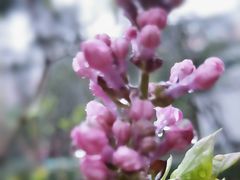 -西安市长乐公园