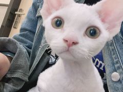 -爱派特动物医院·全科诊疗中心