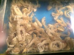 -星伦多 自助料理(圆融店)