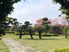 -南宁南湖公园