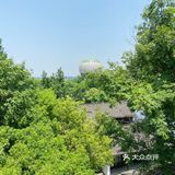 发现宝藏新玩地，西溪湿地景区里的古镇