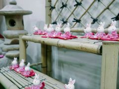 -白兔子密室(长寿路店)