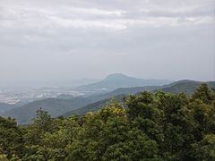 -东莞市大岭山森林公园