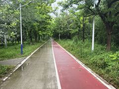 -绿堤公园