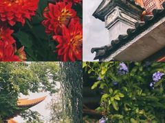 -洱海月湿地公园