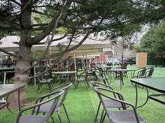 -尚庄度假村·庭台树下·户外烧烤·团建CS·轰趴营地(上庄水库店)