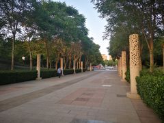 -金星公园