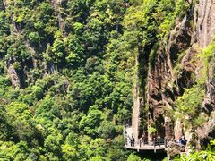 -天台山琼台仙谷景区