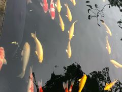-湖鲜楼