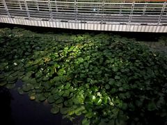 -全季酒店(苏州观前步行街店)