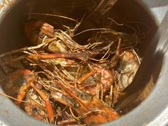 -隅乐胡椒虾·台湾菜·团建(皇岗店)