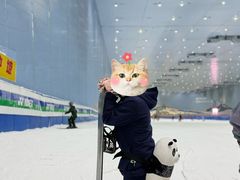 -广州热雪奇迹