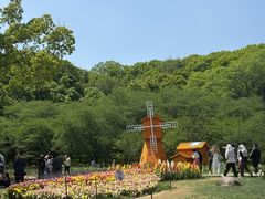 -苏州上方山国家森林公园