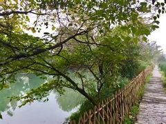 -贵阳市花溪国家城市湿地公园