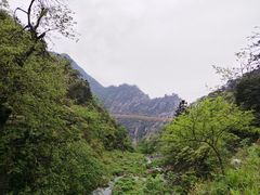 -望庐说·本地菜馆