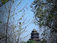 -阅江楼风景区