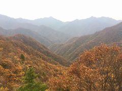 -秦岭风景区