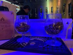 -40+精酿啤酒俱乐部(国投财富广场店)