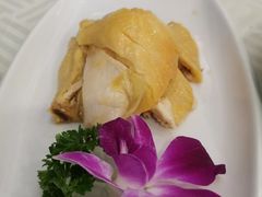 白切农家鸡-江南村酒家