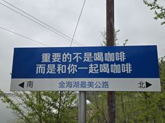 -望湖烤鱼