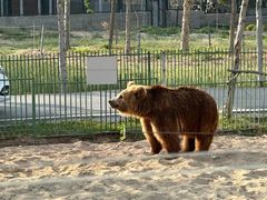 -秦皇岛野生动物园