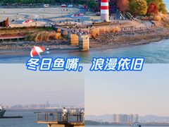 -鱼嘴湿地公园