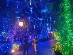 -崇阳三特浪口温泉